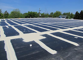 Roof Coating1