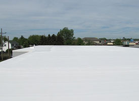 Roof Coating1