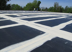 Roof Coating1