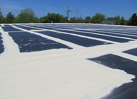 Roof Coating