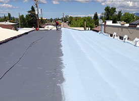 Roof Coating1