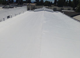 Roof Coating