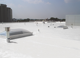 Single-Ply Roofing1