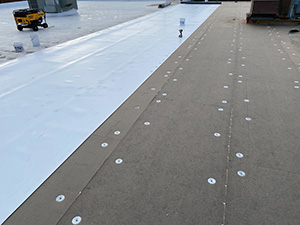 Commercial Roofing Services