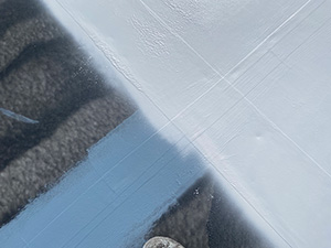 Roof Coating1