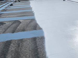 Roof Coating