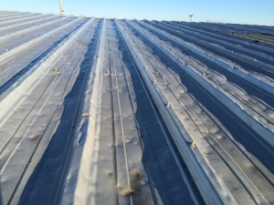 hail roof damage inspection grand haven mi michigan 2