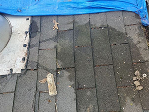 Hail Damage Roof Inspection1